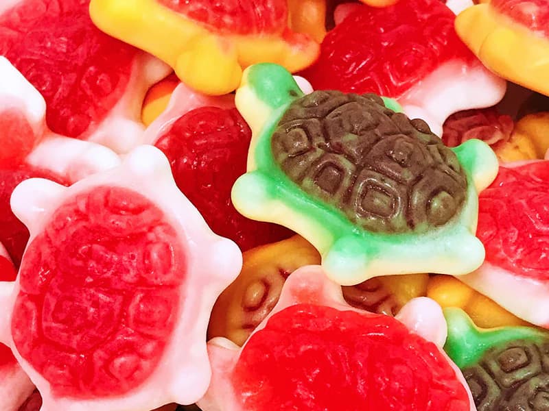 Filled Turtles