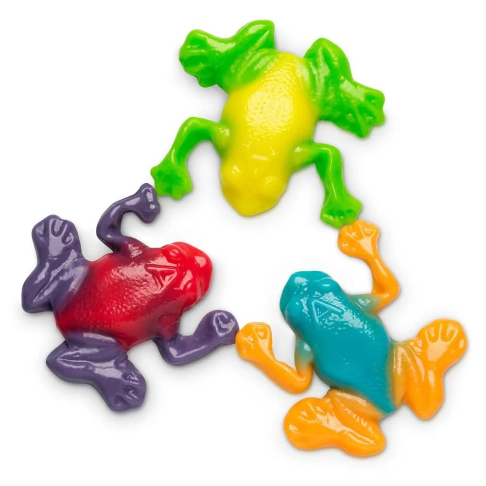 Rainforest Frogs