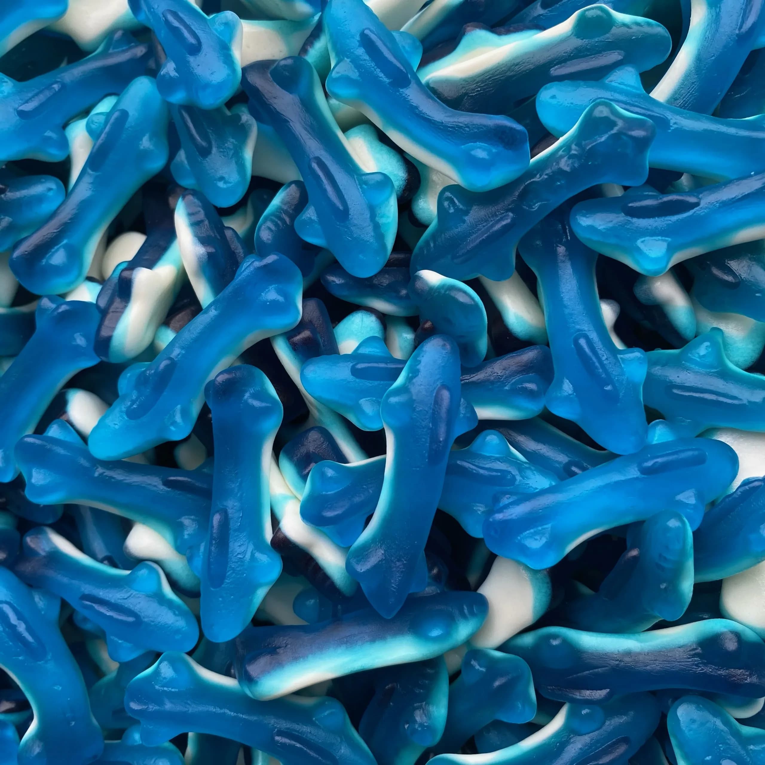 Small Blue Sharks