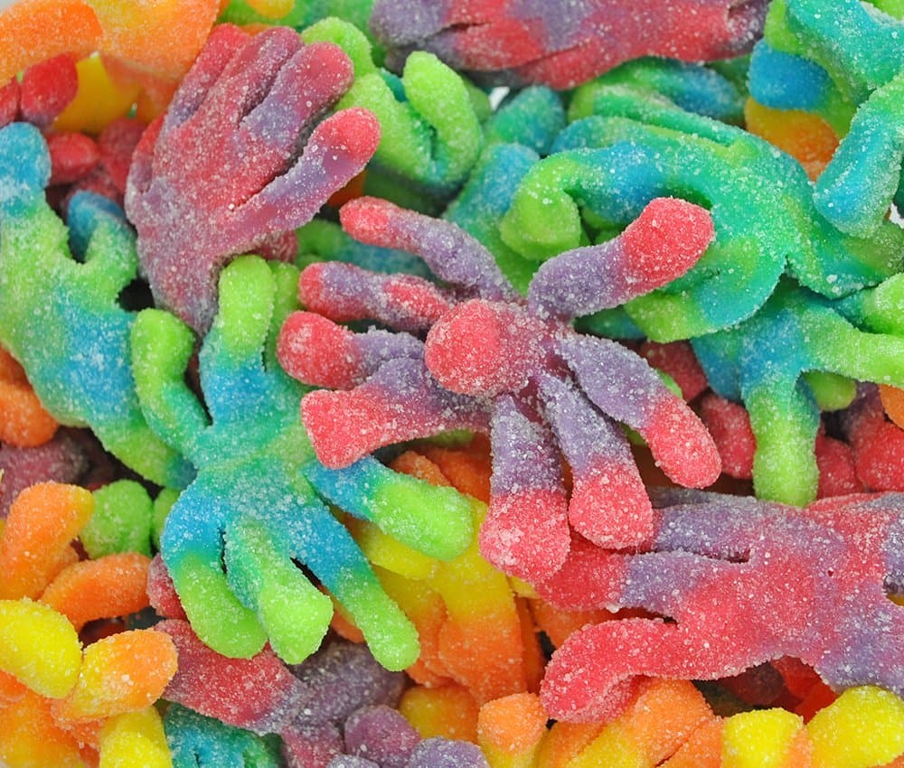 Sour Octopus