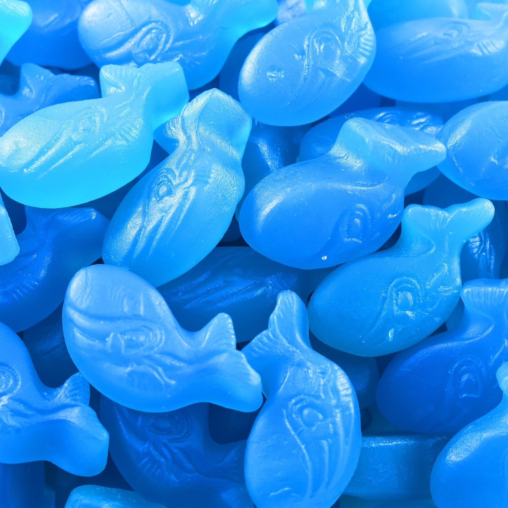 Mini Blue Whales
