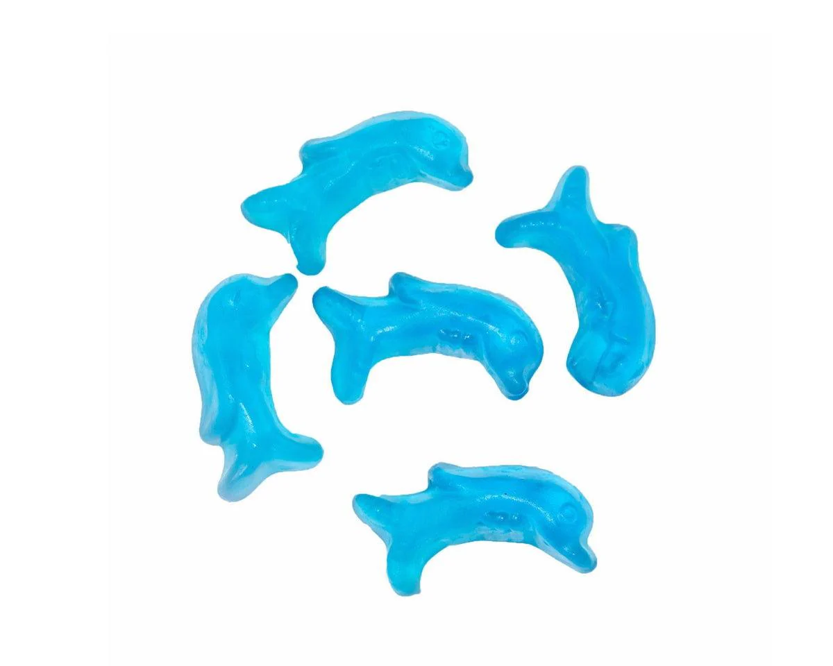 Mini Dolphins