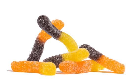 Sour Fall Worms