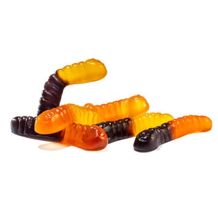 Fall Worms