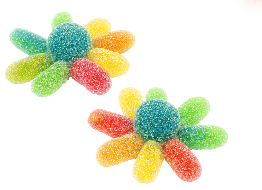 Sour Rainbow Octopus